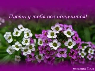 d786b097c33caee4d793043975c97281.webp