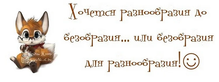 d8b03e2c827b.webp