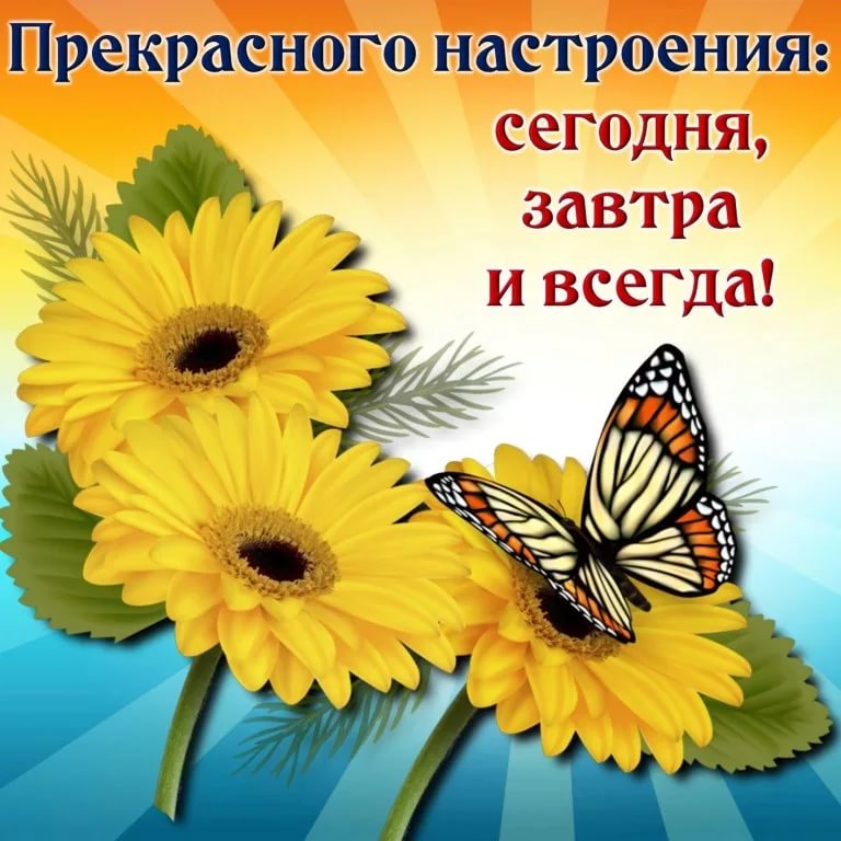 D9A0214F-8746-4F94-9389-2B0A7DDE65E2.jpeg