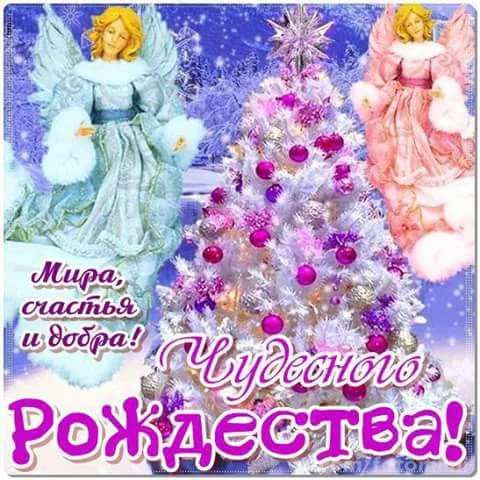 d9d66d9625935442a4bff339e181c9f6.webp