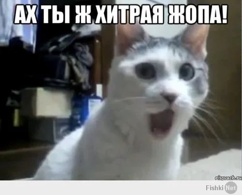 d9f3713fc8e9b29bebc3736d6868c88d.webp