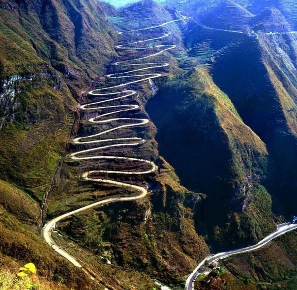 да идем,идем.webp