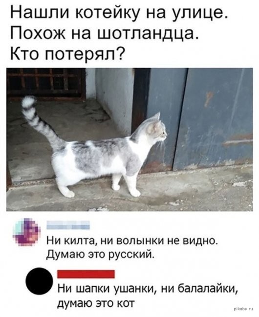 DA17A48C-FC3A-4AD3-9B23-5EC5271A109F.jpeg