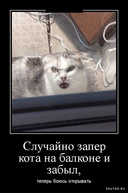 DA646C1D-4171-4564-B085-E6ACE75DD381.jpeg