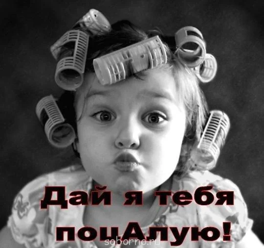 дай я тебя поцелую.webp