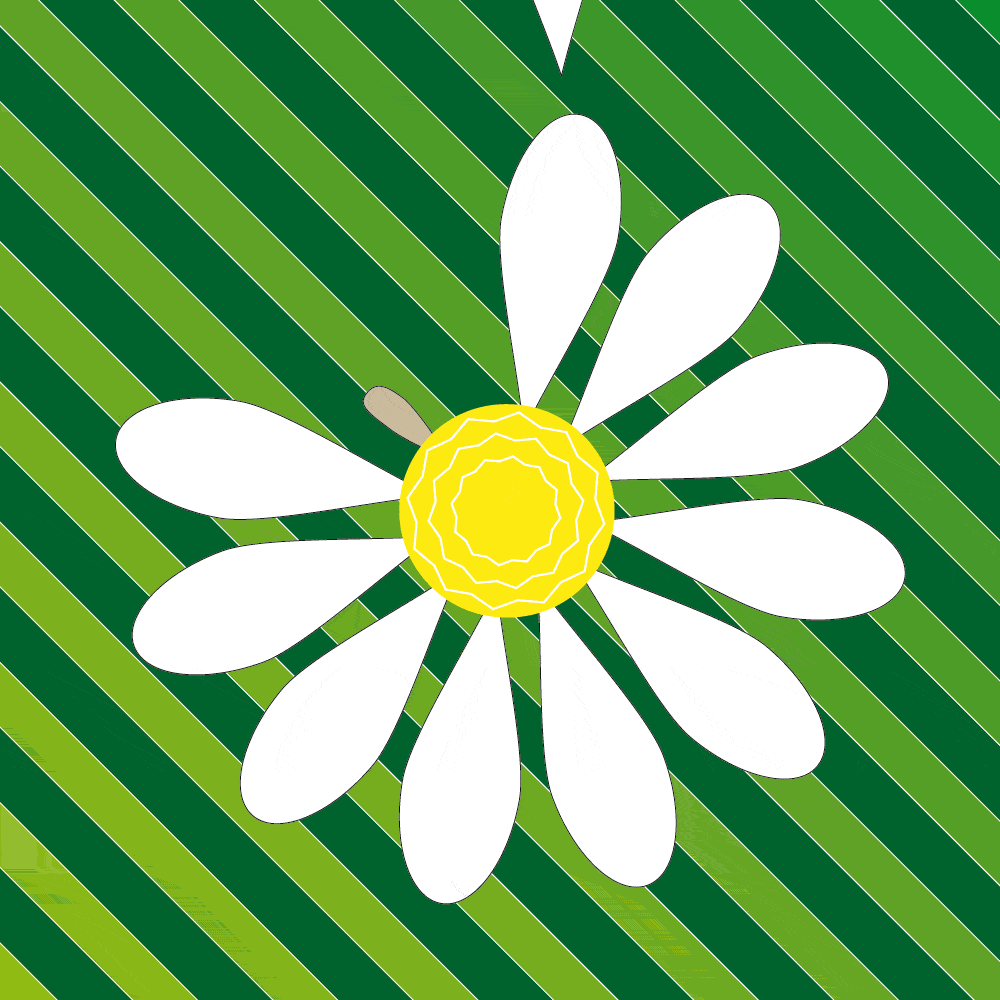 daisy-flowers-47.gif