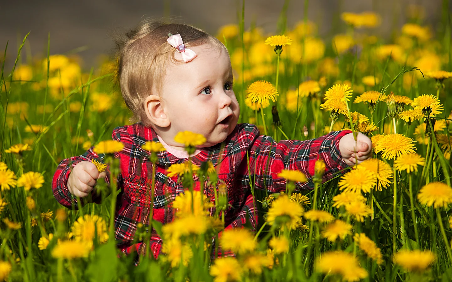 Dandelions_Little_girls_495864_1440x900.webp