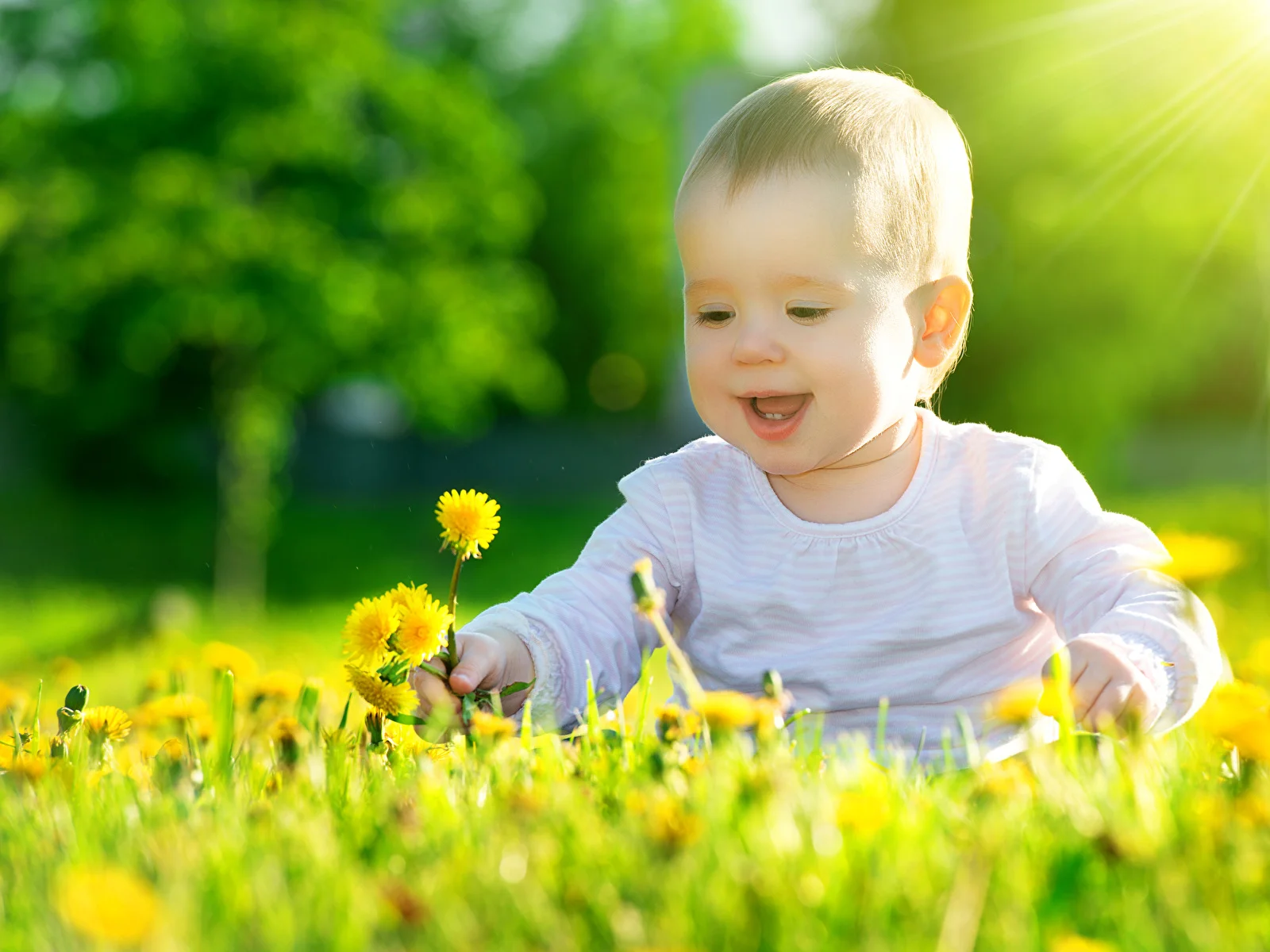Dandelions_Smile_467538_1600x1200.webp