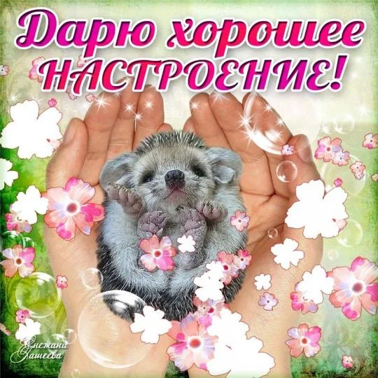 Дарю хорошее настроение.webp