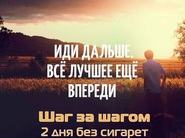day00204.webp