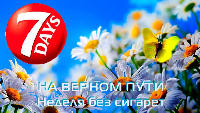day00704.webp