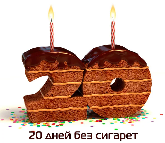 day02005.webp