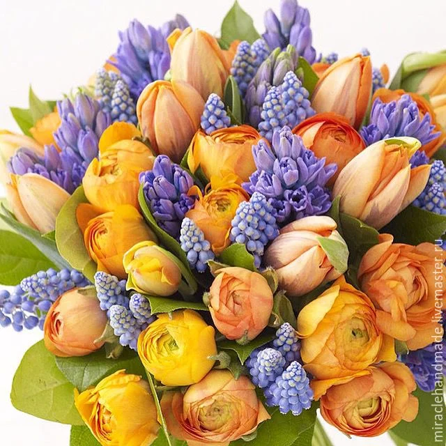 db07aee6c21633f8f426a3c1b4cw--tsvety-i-floristika-vesennij-buket-zhivyh-tsvetov-8-marta-bli.webp