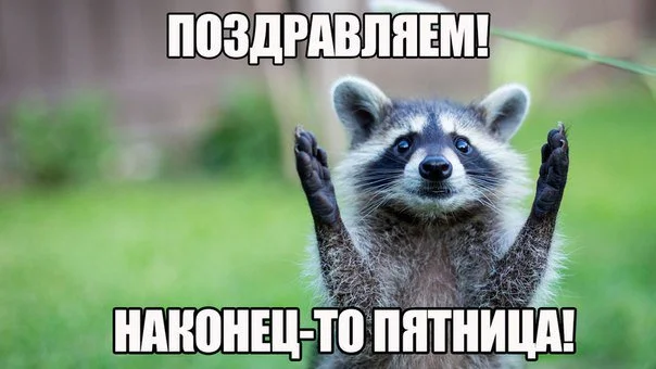 DB1Xz-ZXoAAX8em (2).webp