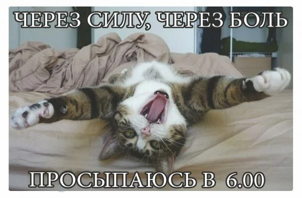 db3c1f2393455626bfacc838fbb9f2c3 (1).webp