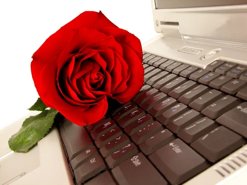 db6c2f39b0f18925c5e5272510d8a7d6.webp
