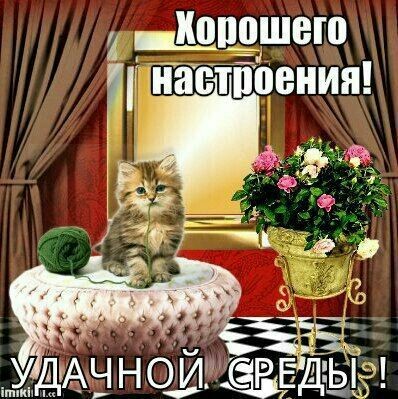 dcba5dde67add2bea7768531530e87ff.jpg