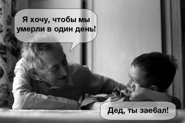 дддд.webp