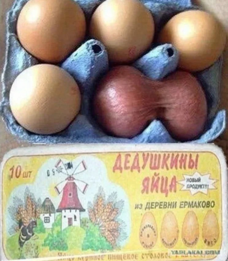 Дедушкины яйца.webp
