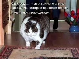 default.webp