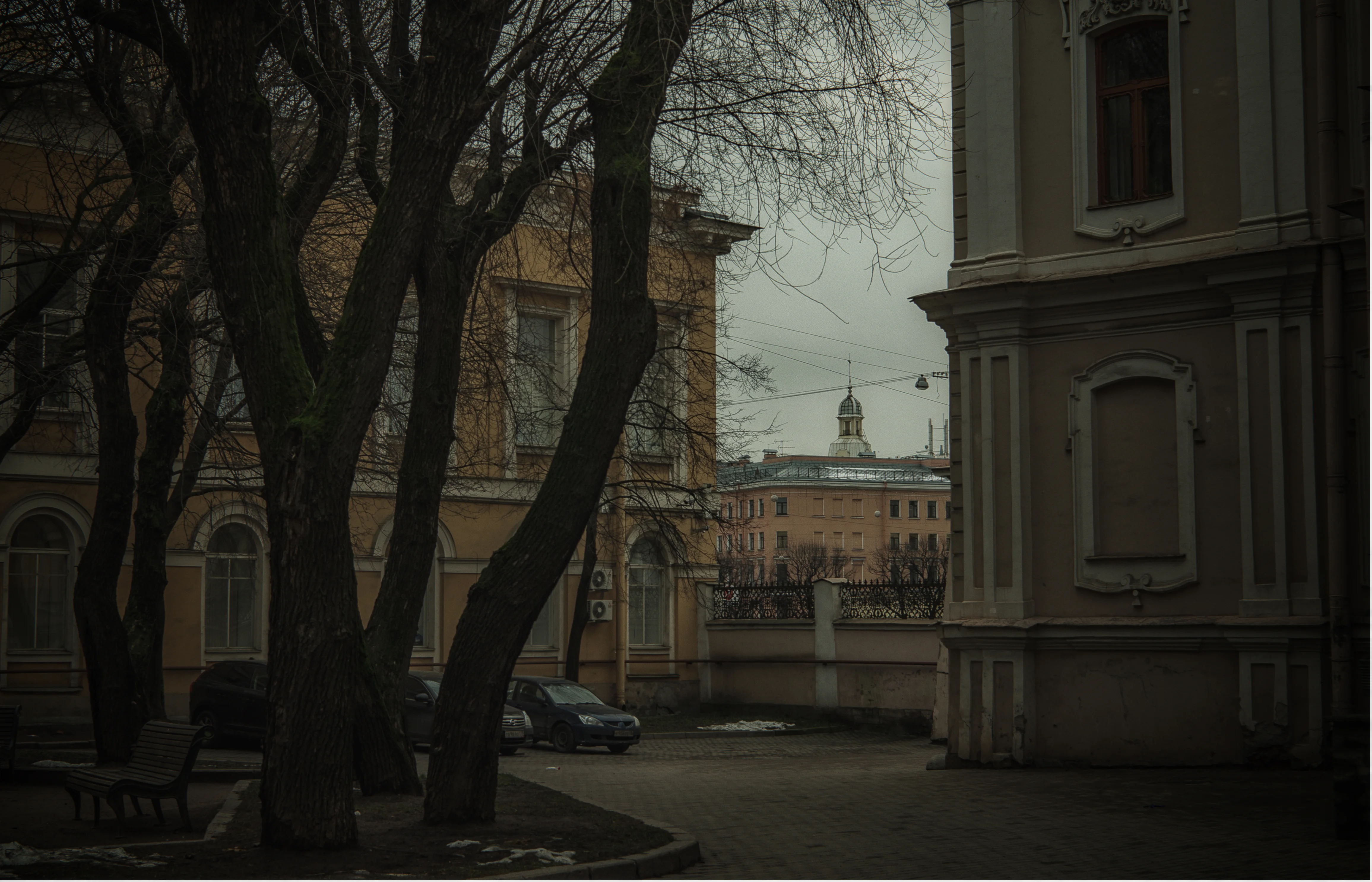 декабри 2.webp