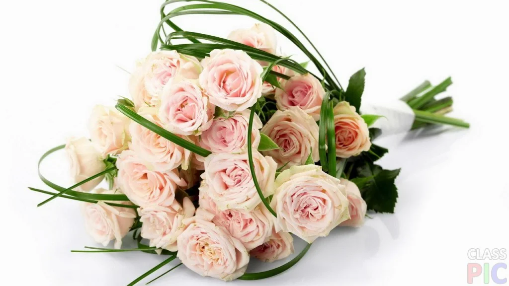 delicate-bouquet-of-rose-1024x576.webp