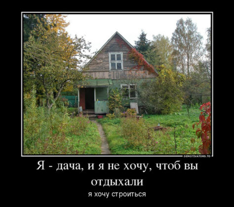 demotivator_dacha_21_08_2017_2.jpg