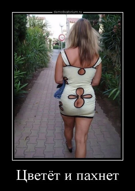 demotivatorium-ru-cvetet-i-pahnet-158769.webp