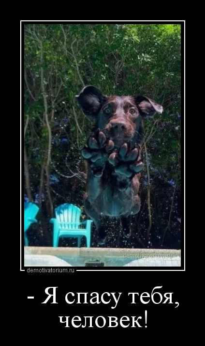 demotivatorium_ru__ja_spasu_tebja_chelovek_167666.webp