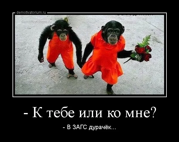 demotivatorium_ru__k_tebe_ili_ko_mne_52743.webp