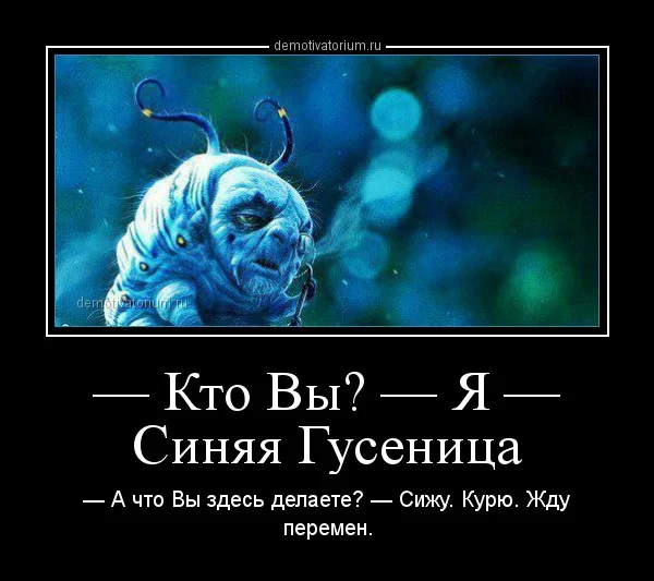 demotivatorium_ru__kto_vi_ja__sinjaja_gusenica_69836.webp