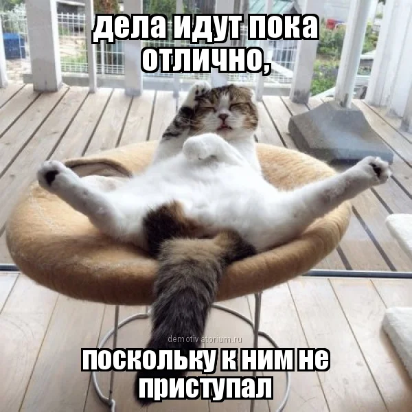 demotivatorium_ru_dela_idut_poka_otlichno_117795.webp