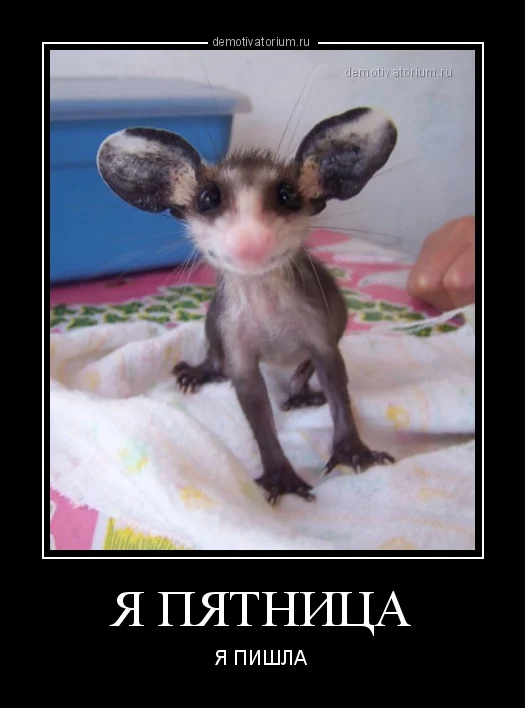 demotivatorium_ru_ja_pjatnica_94261.webp