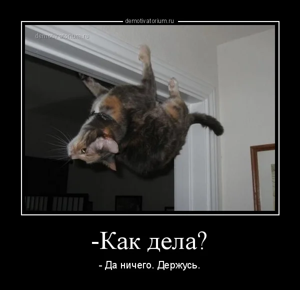 demotivatorium_ru_kak_dela_174069.webp