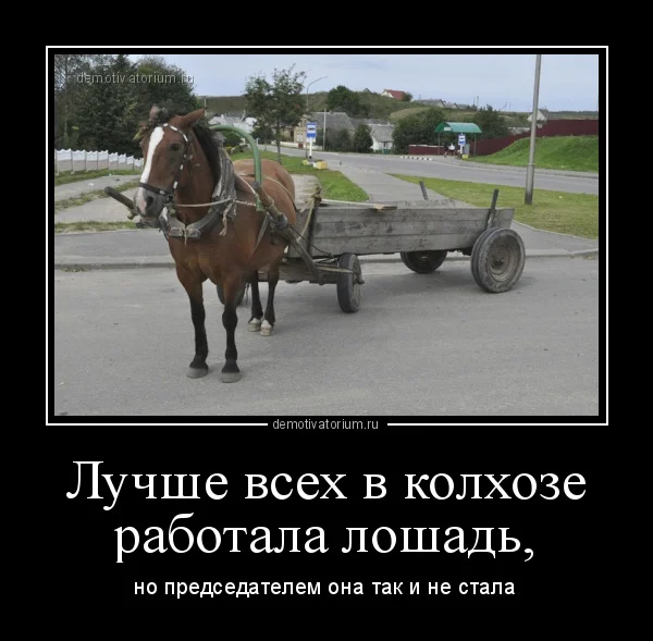 demotivatorium_ru_luchshe_vseh_v_kolhoze_rabotala_loshad_117188.webp