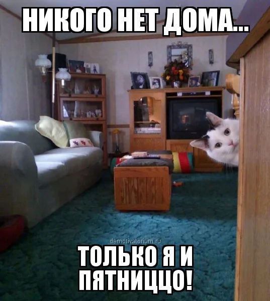 demotivatorium_ru_nikogo_net_doma_66056.webp