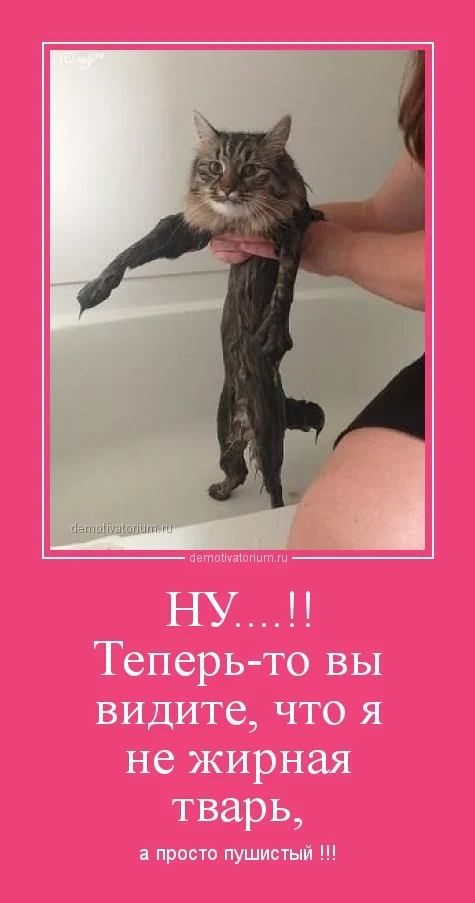 demotivatorium_ru_nu_teperto_vi_vidite_chto_ja_ne_jirnaja_tvar_44110.webp