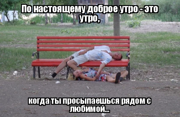 demotivatorium_ru_po_nastojashemu_dobroe_utro__eto_utro_119464.webp