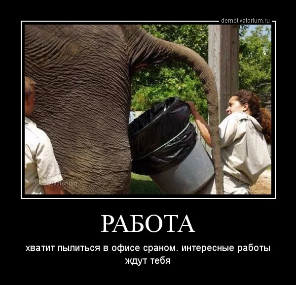 demotivatorium_ru_rabota_43361.webp