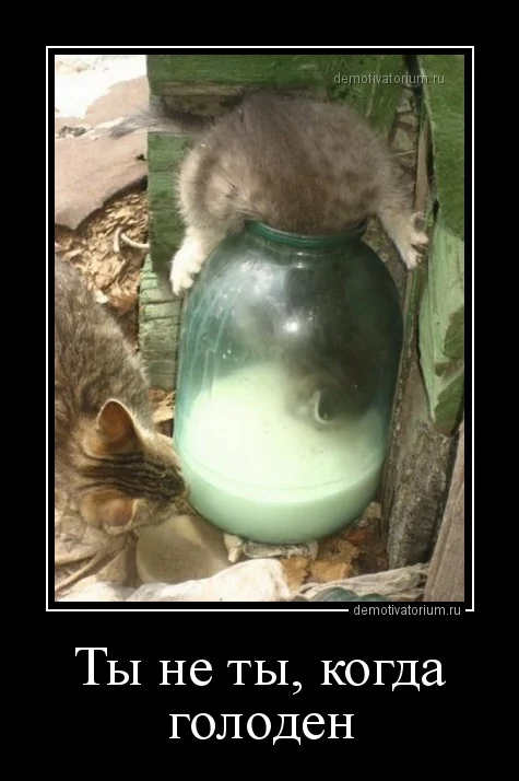 demotivatorium_ru_ti_ne_ti_kogda_goloden_85011.webp