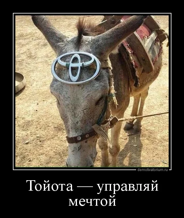 demotivatorium_ru_tojota__upravljaj_mechtoj_147675.webp