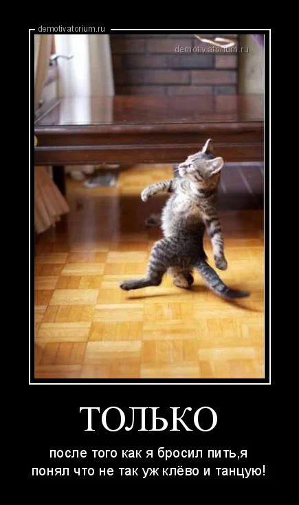 demotivatorium_ru_tol_ko_5470.webp