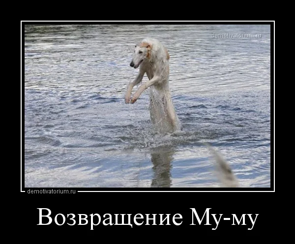 demotivatorium_ru_vozvrashenie_mumu_139746[1].webp