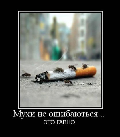 demotivators_smoking_007.jpg