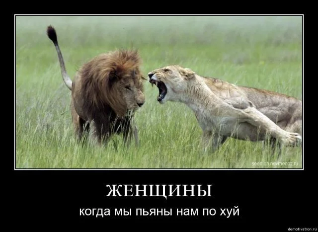 демотиваторы-про-девушек-львы-1507.webp