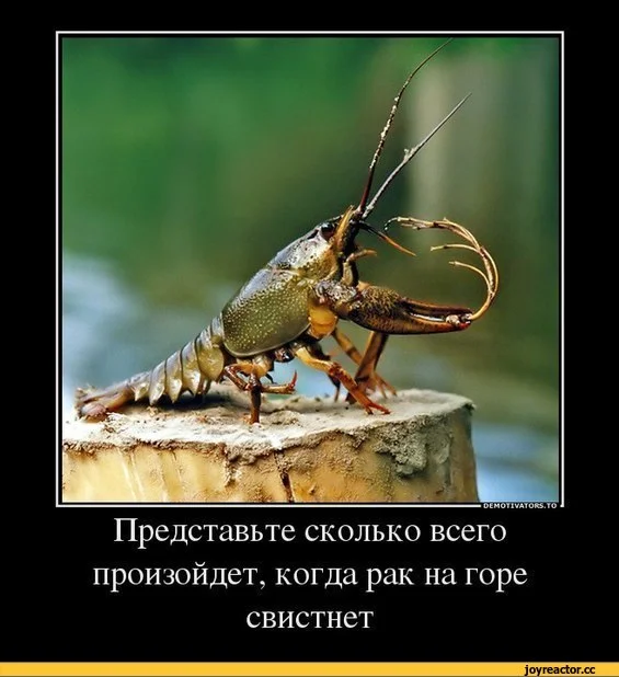 демотиваторы-рак-песочница-удалённое-662705.webp