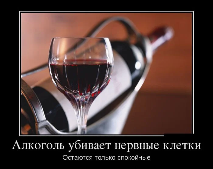 demotivatory_04 (2).webp