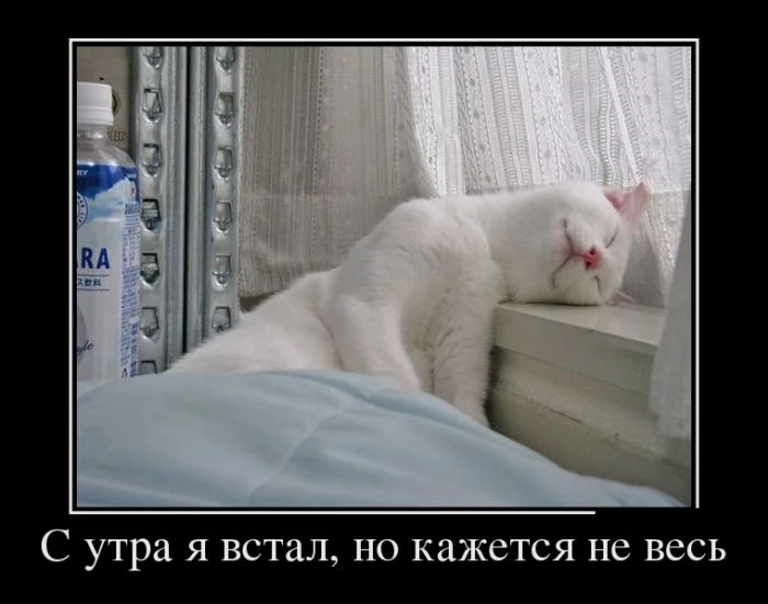 demotivatory_05 (2).webp