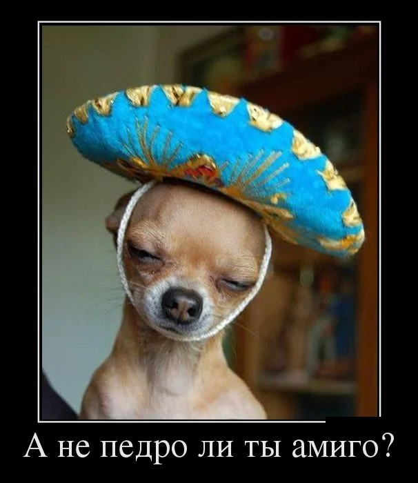 demotivatory_06 (1).webp