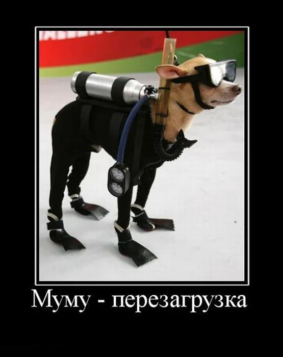 demotivatory_06.webp